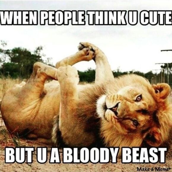 ISO Disney 50th Celebration McDonalds Toys For TRADE ONLY PFFS Girlsquad - Picture 11 of 15